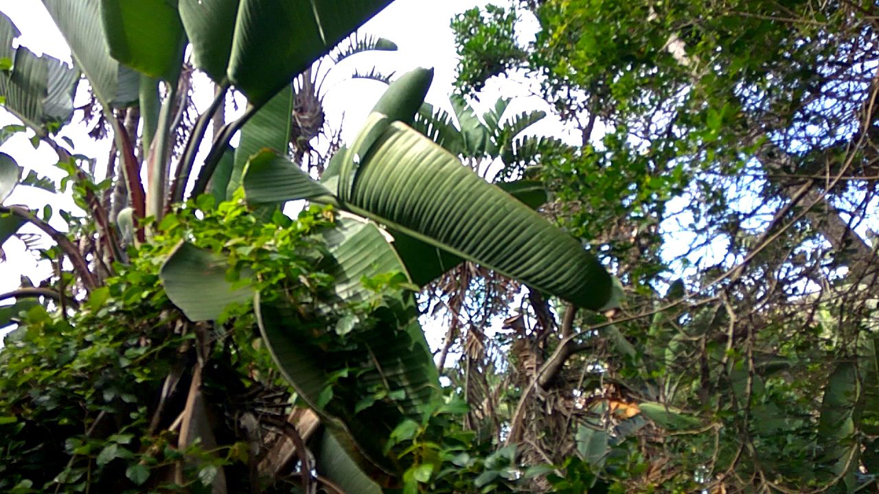  Hluleka Nature Reserve