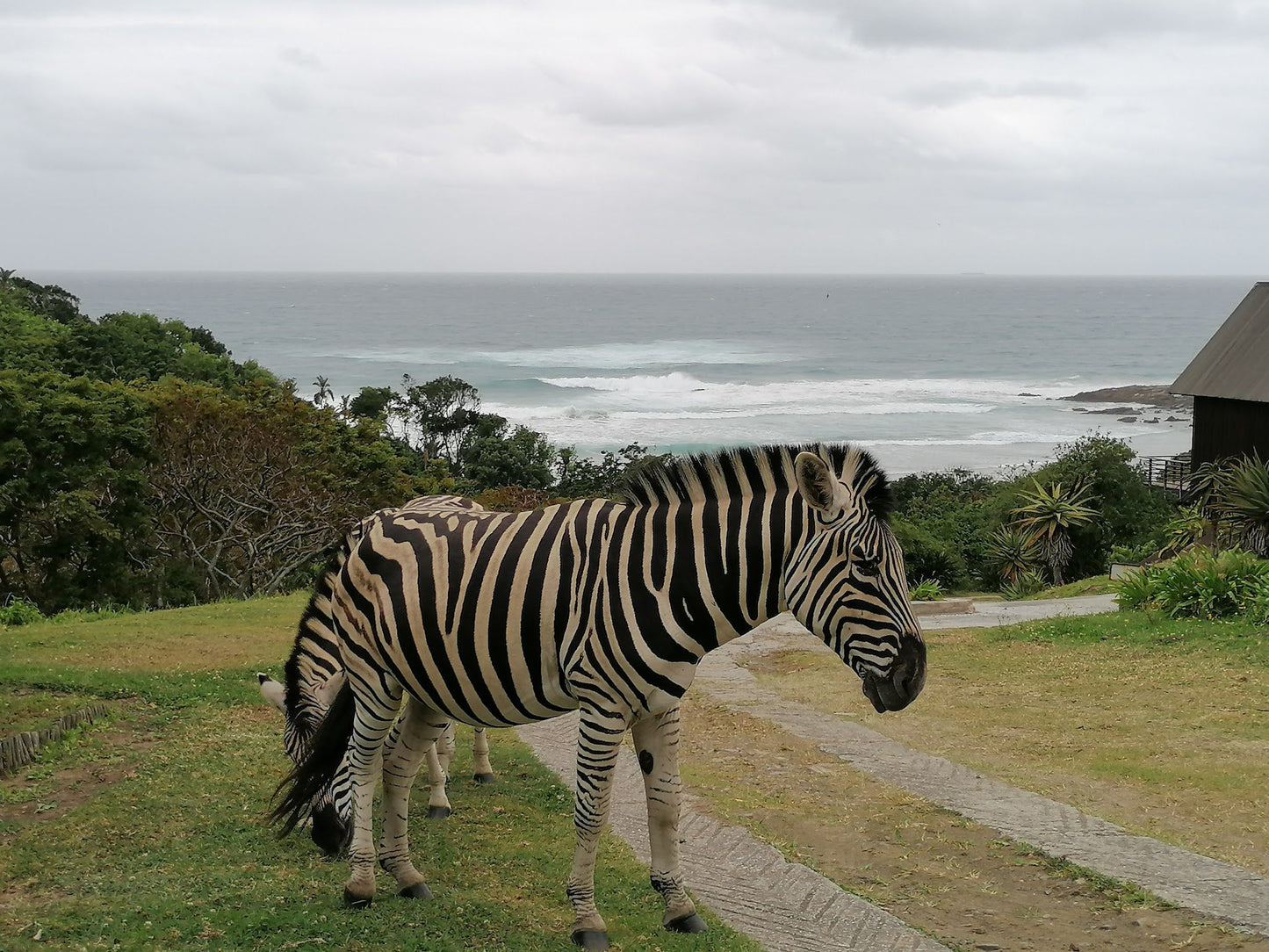  Hluleka Nature Reserve