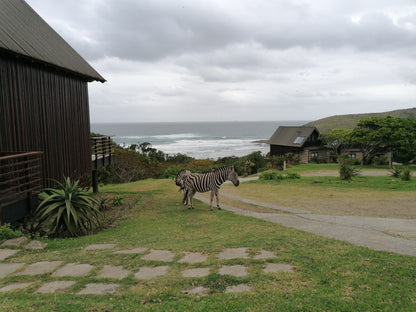  Hluleka Nature Reserve