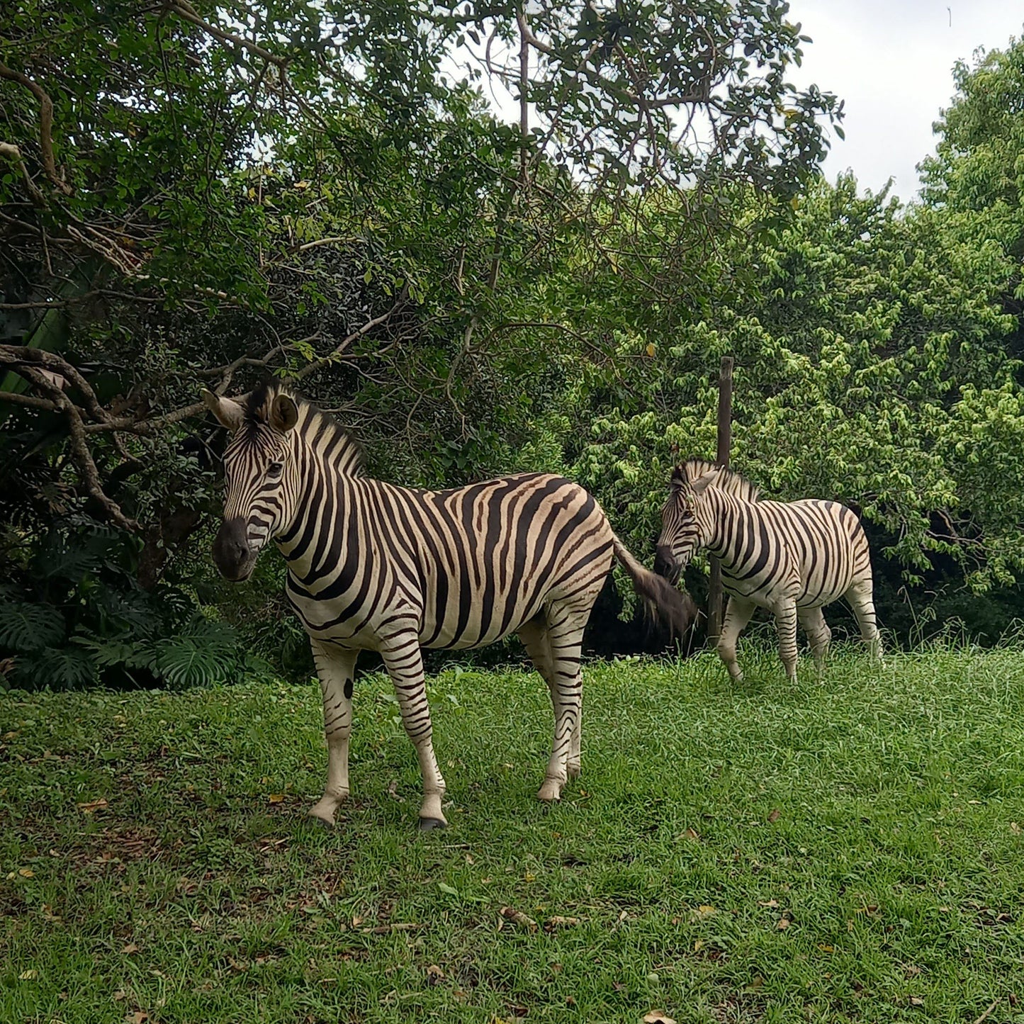  Hluleka Nature Reserve