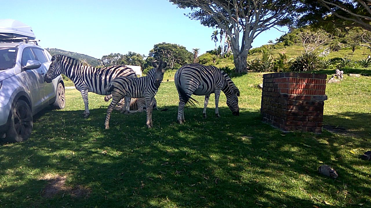  Hluleka Nature Reserve