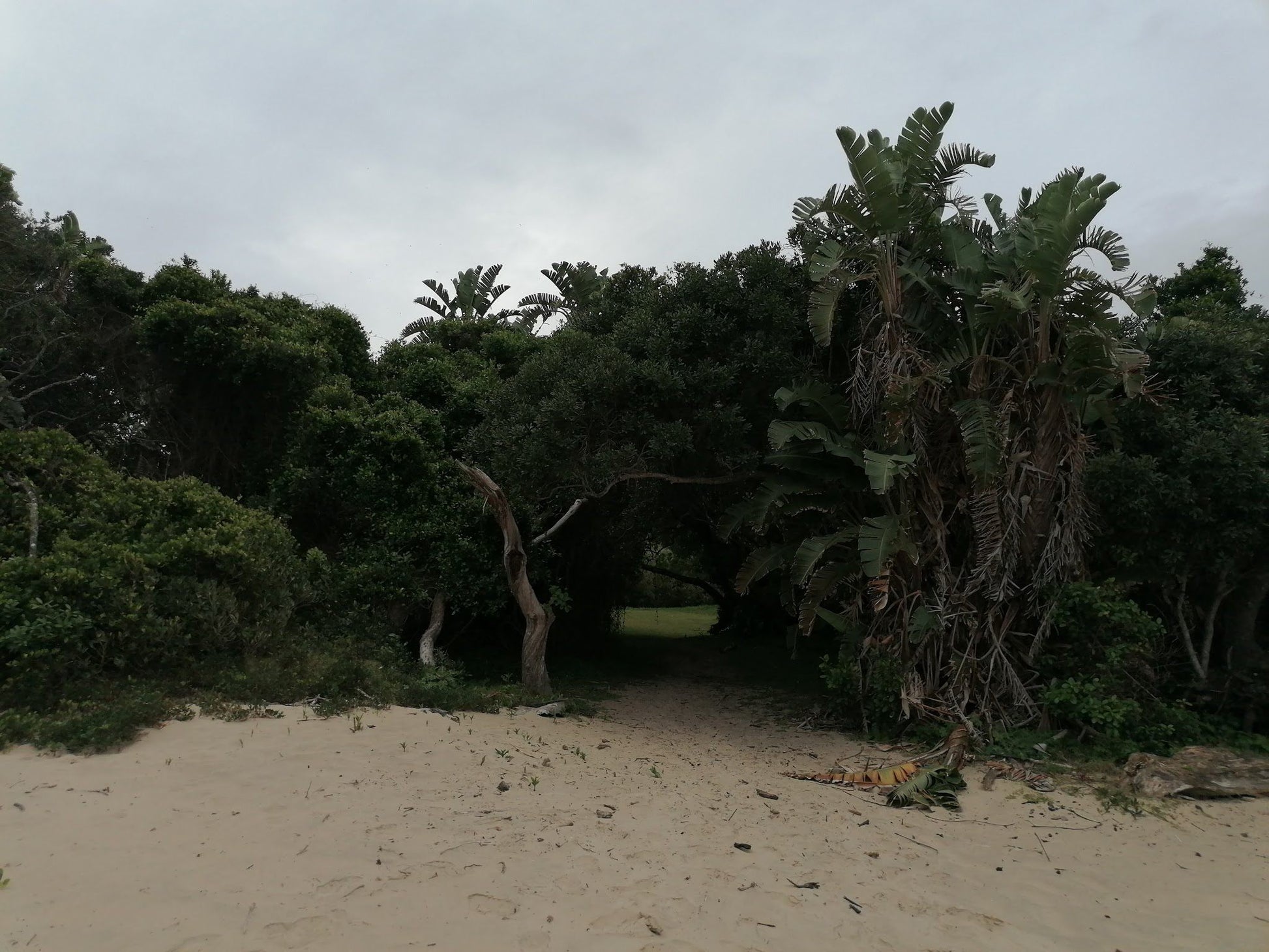  Hluleka Nature Reserve