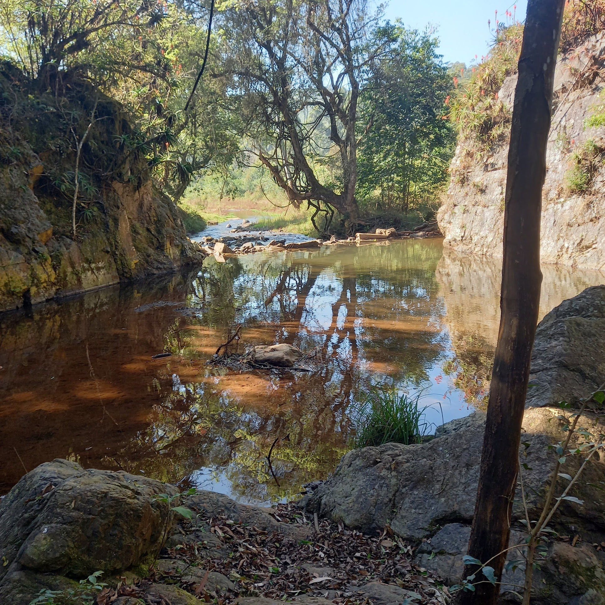  Horse Shoe Falls