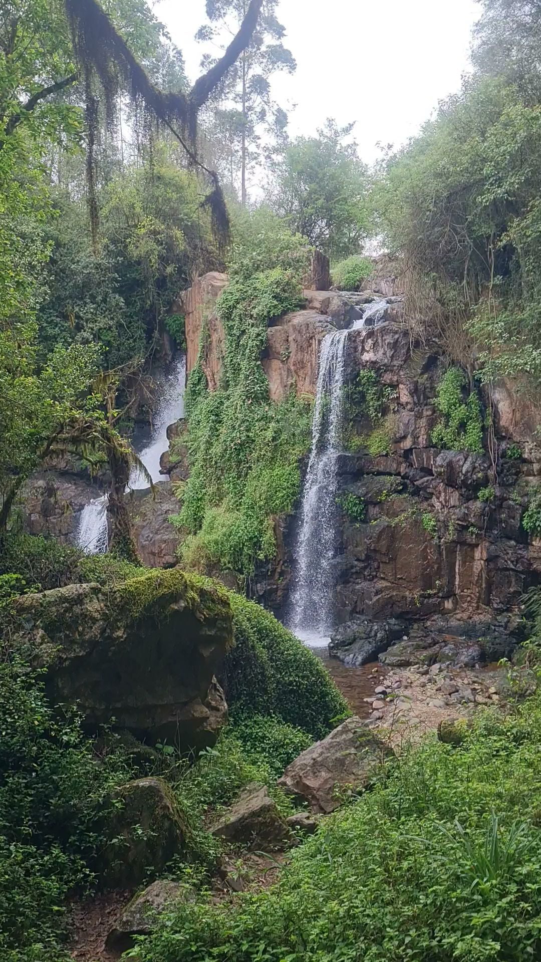  Horse Shoe Falls