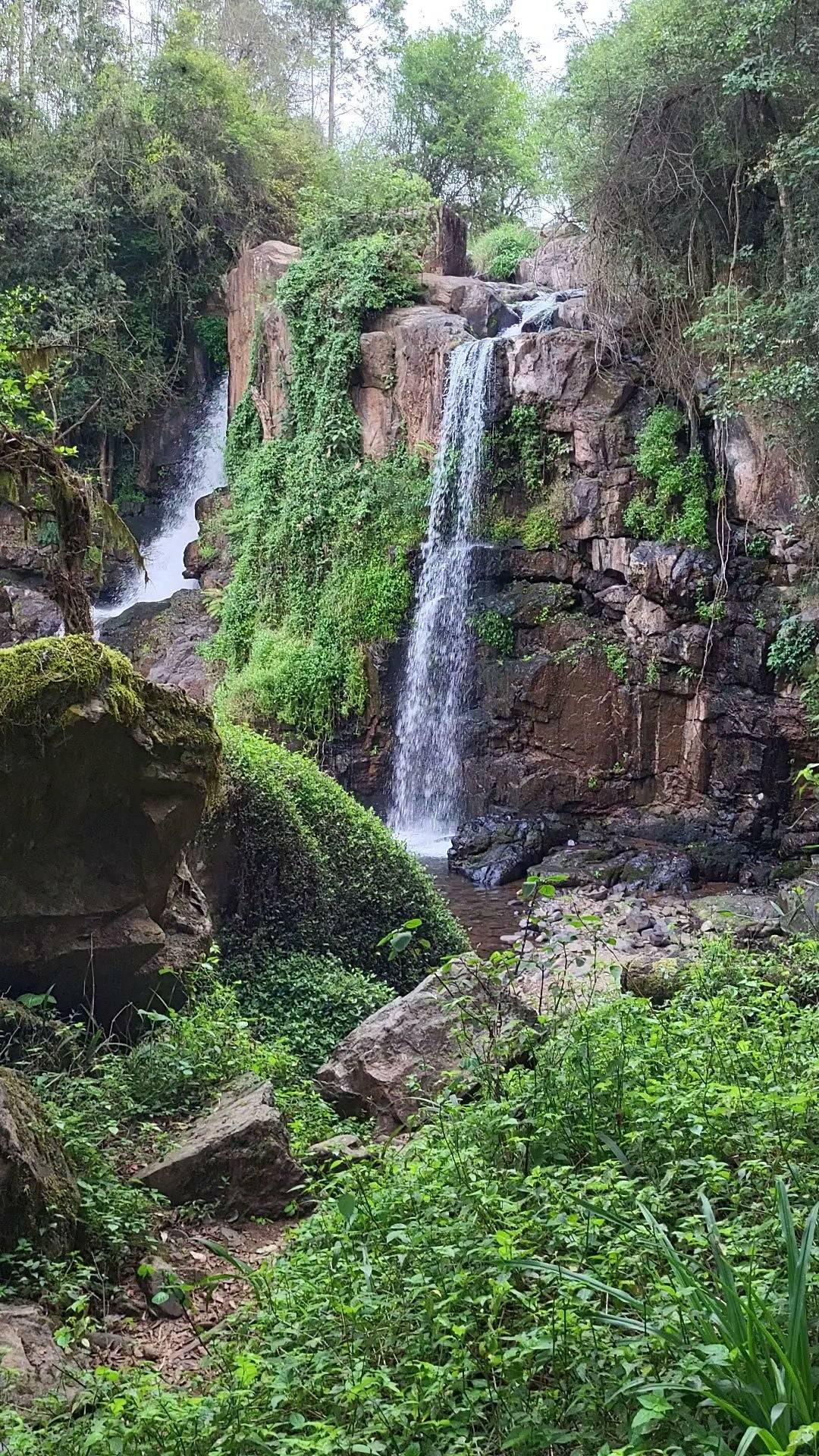  Horse Shoe Falls