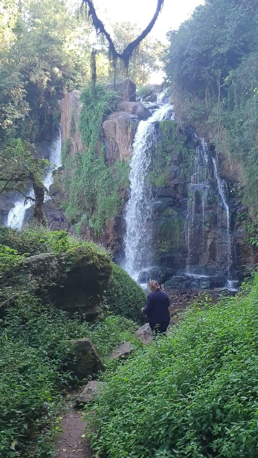  Horse Shoe Falls