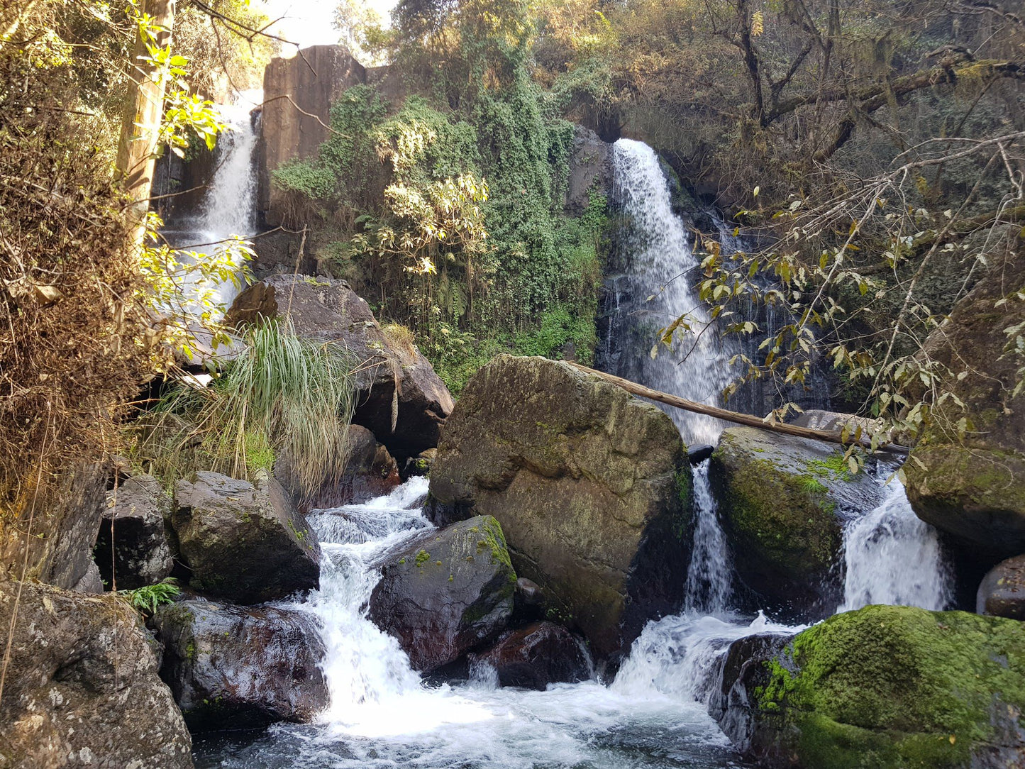  Horse Shoe Falls