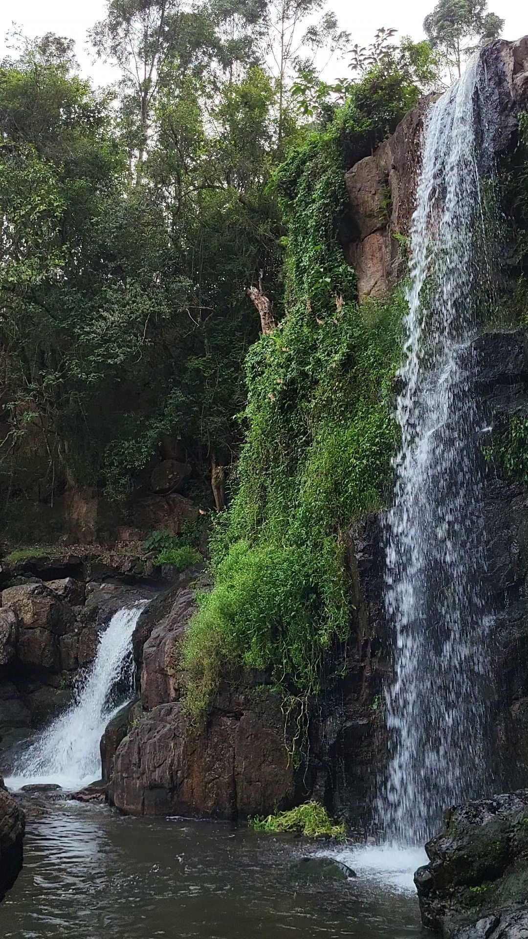  Horse Shoe Falls