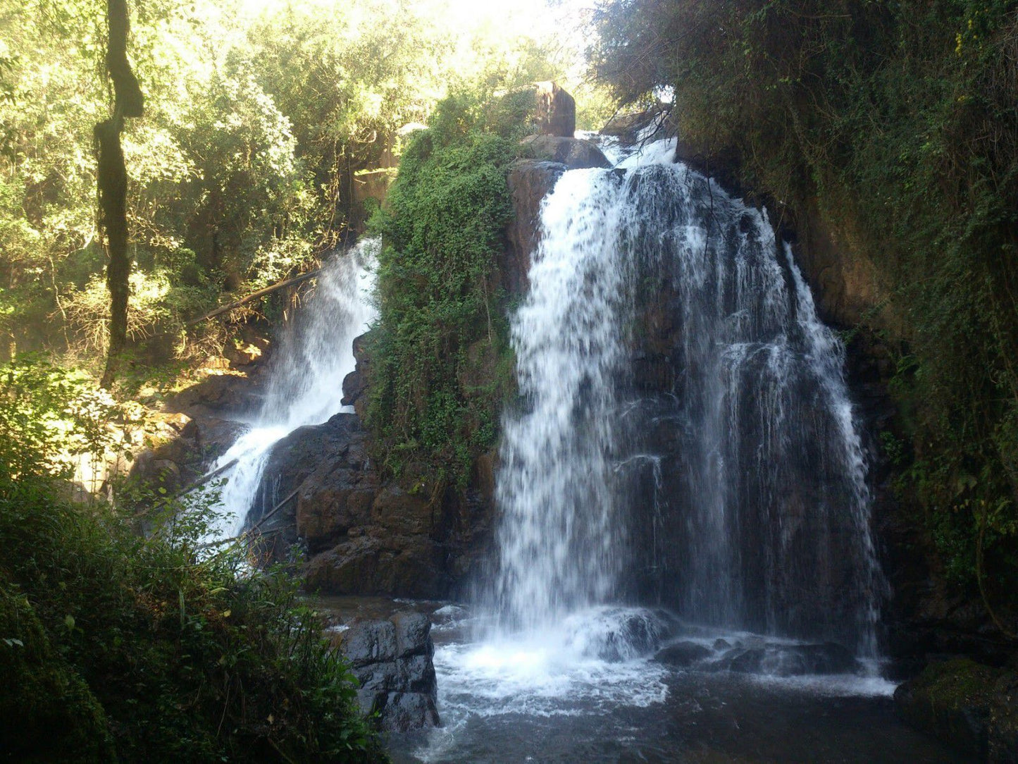  Horse Shoe Falls