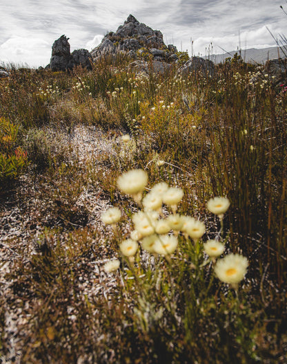  Hottentots-Holland Mountain Catchment Area