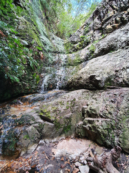  Hottentots-Holland Mountain Catchment Area