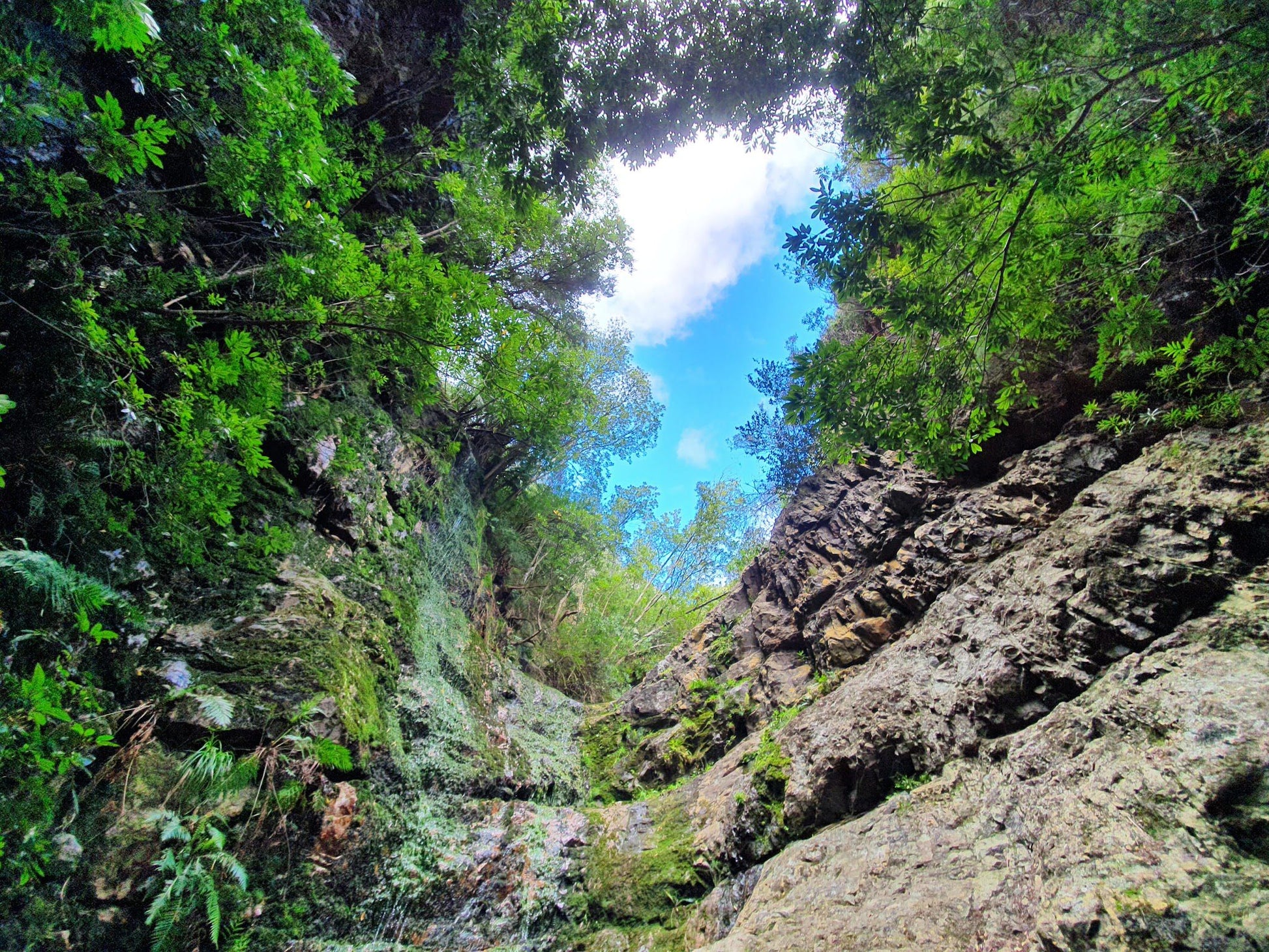  Hottentots-Holland Mountain Catchment Area