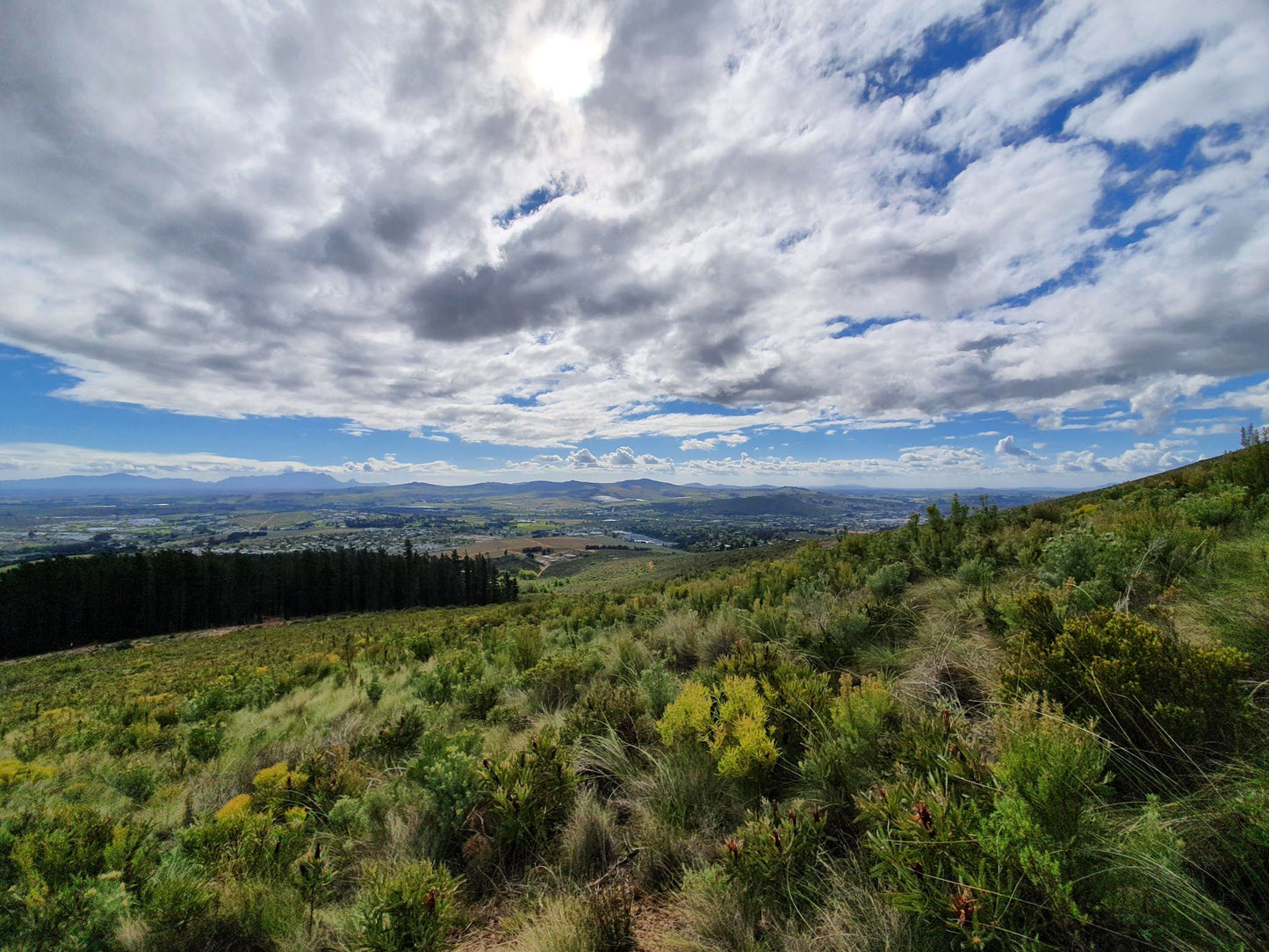  Hottentots-Holland Mountain Catchment Area