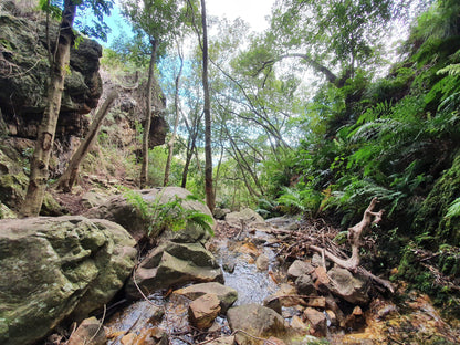  Hottentots-Holland Mountain Catchment Area