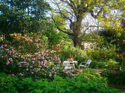 House At Pooh Corner Noordhoek Cape Town Western Cape South Africa Plant, Nature, Garden