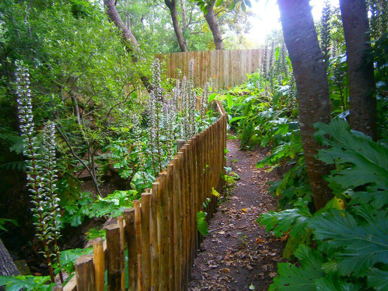 House At Pooh Corner Noordhoek Cape Town Western Cape South Africa Plant, Nature, Tree, Wood, Garden