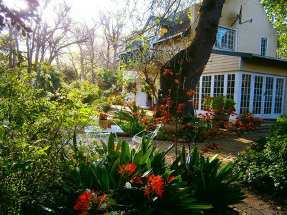 House At Pooh Corner Noordhoek Cape Town Western Cape South Africa House, Building, Architecture, Plant, Nature, Garden