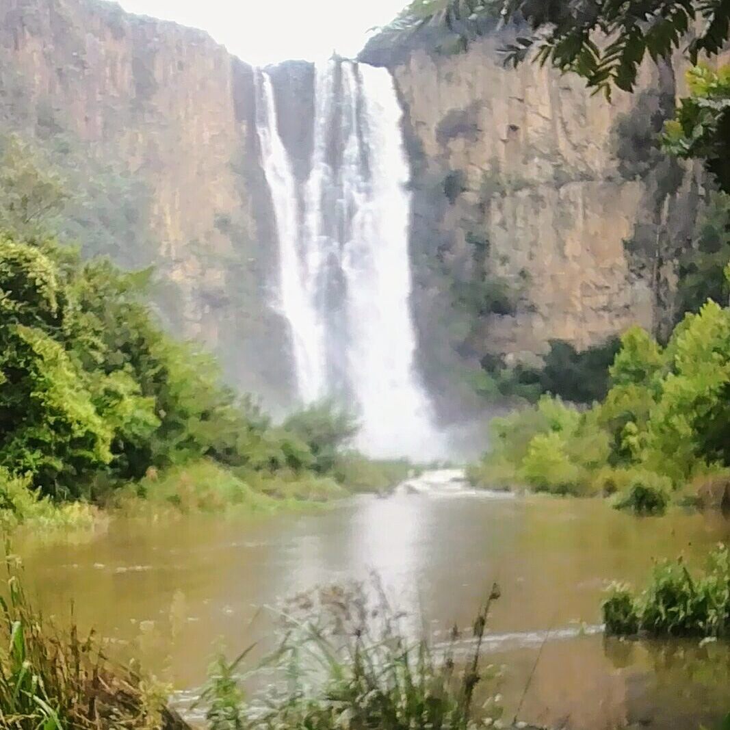 Howick Falls Gorge Walk