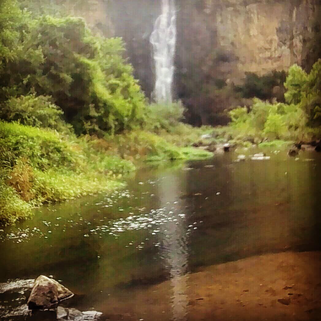 Howick Falls Gorge Walk