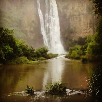 Howick Falls Gorge Walk