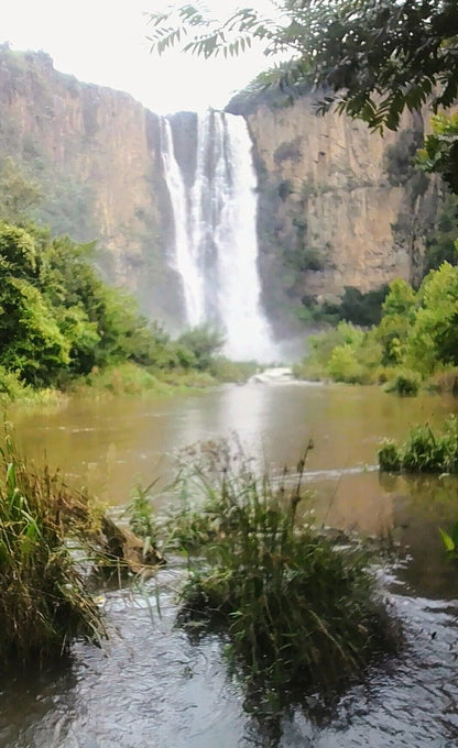 Howick Falls Gorge Walk