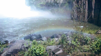 Howick Falls Gorge Walk