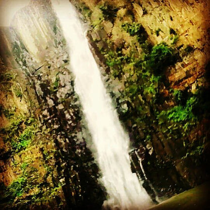 Howick Falls Gorge Walk