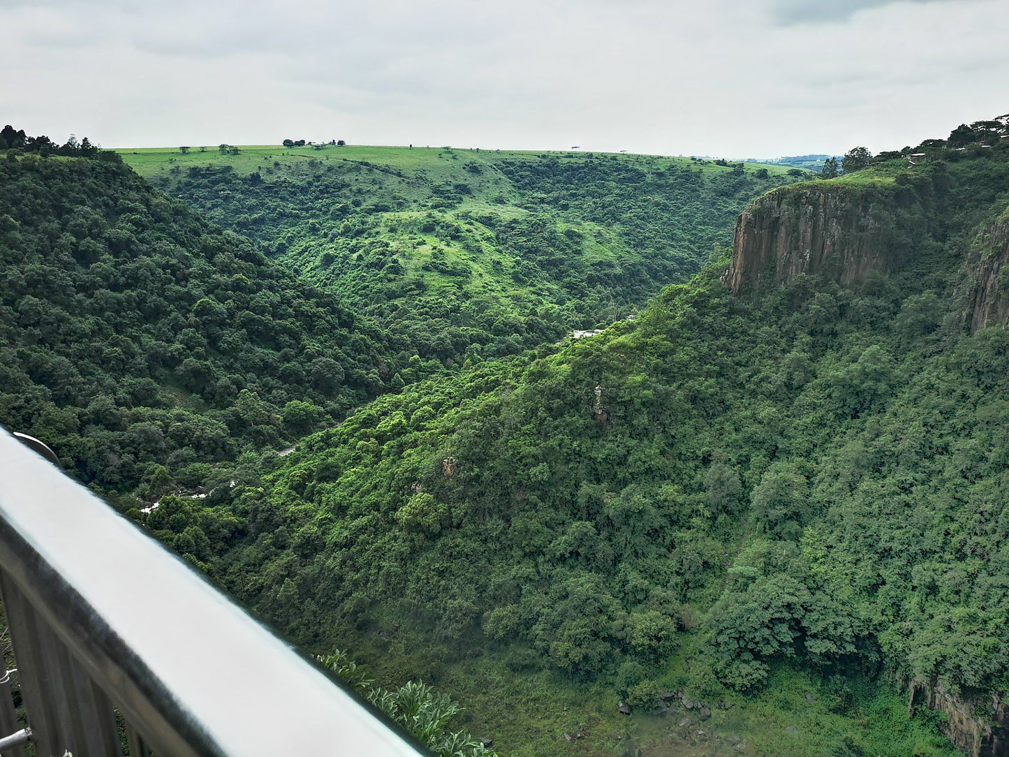 Howick Falls Gorge Walk