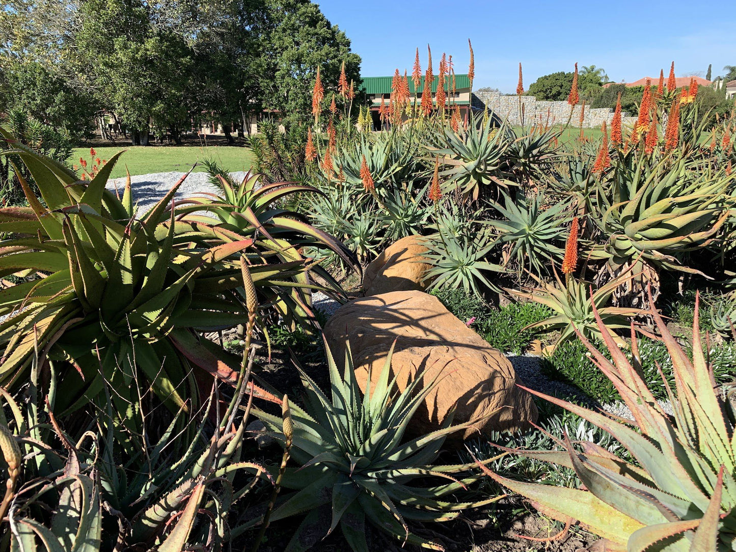 Indigenous Plant Nursery