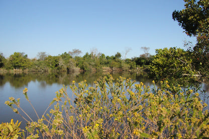 Indigenous Plant Nursery