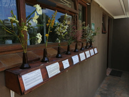 Indigenous Plant Nursery