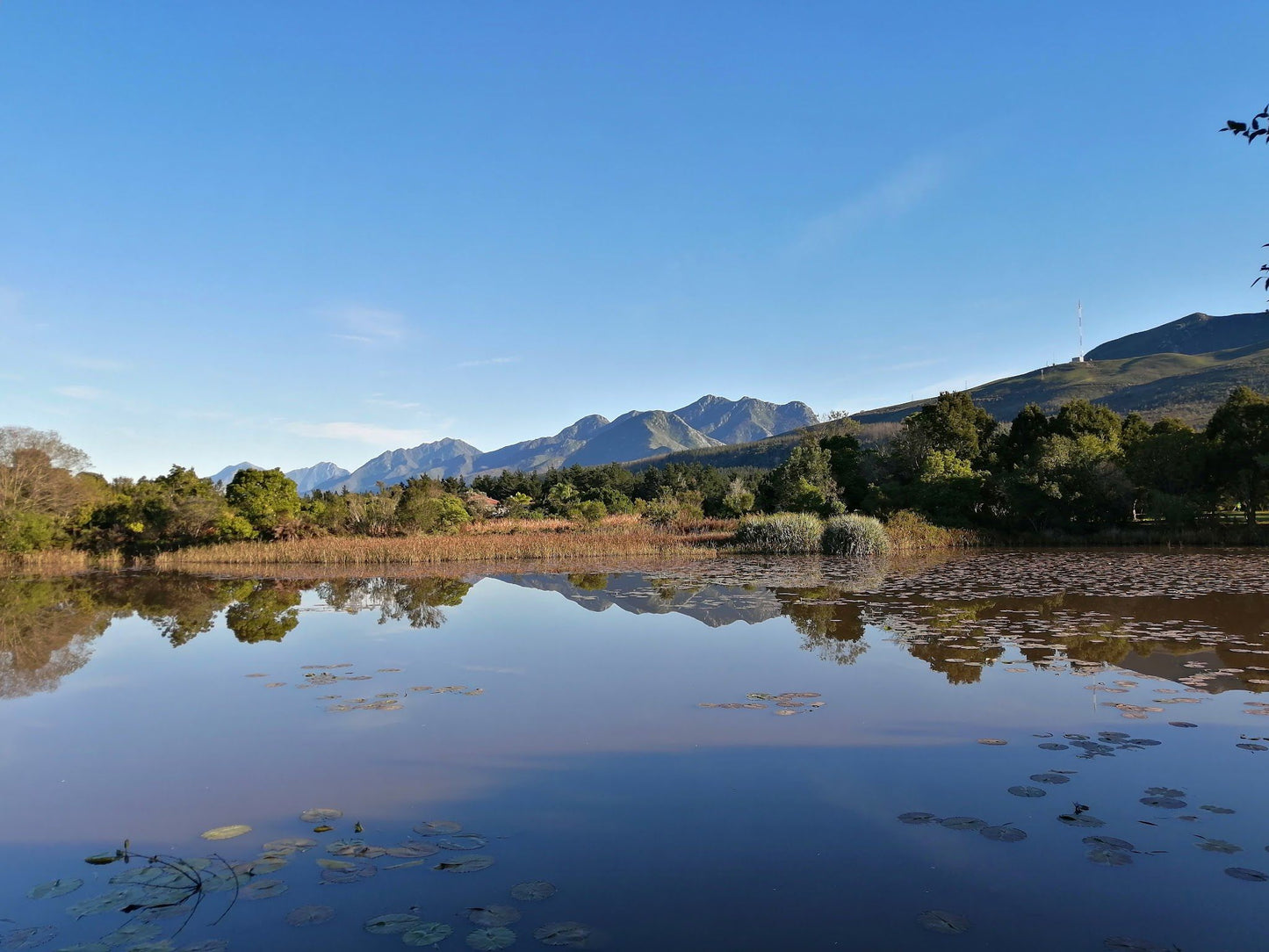 Indigenous Plant Nursery