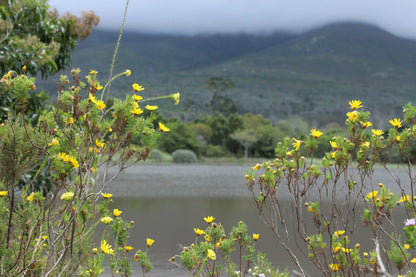 Indigenous Plant Nursery