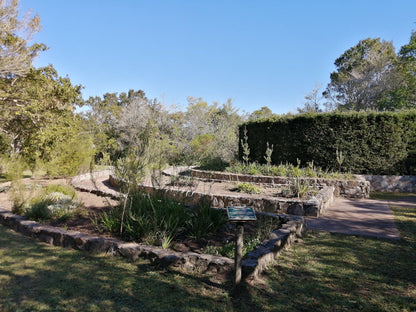 Indigenous Plant Nursery