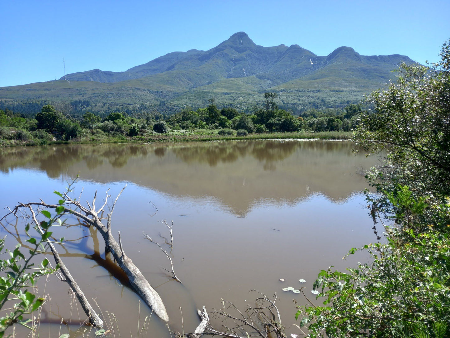 Indigenous Plant Nursery