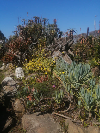 Indigenous Plant Nursery