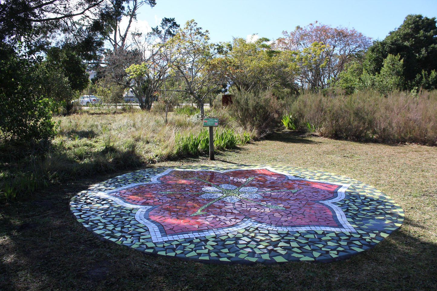 Indigenous Plant Nursery