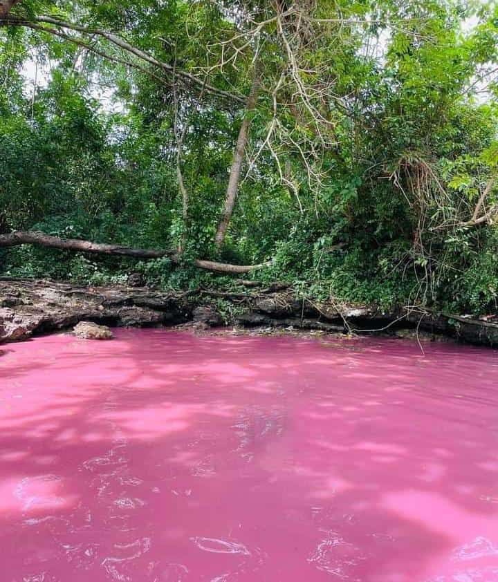  Isinuka Healing Springs