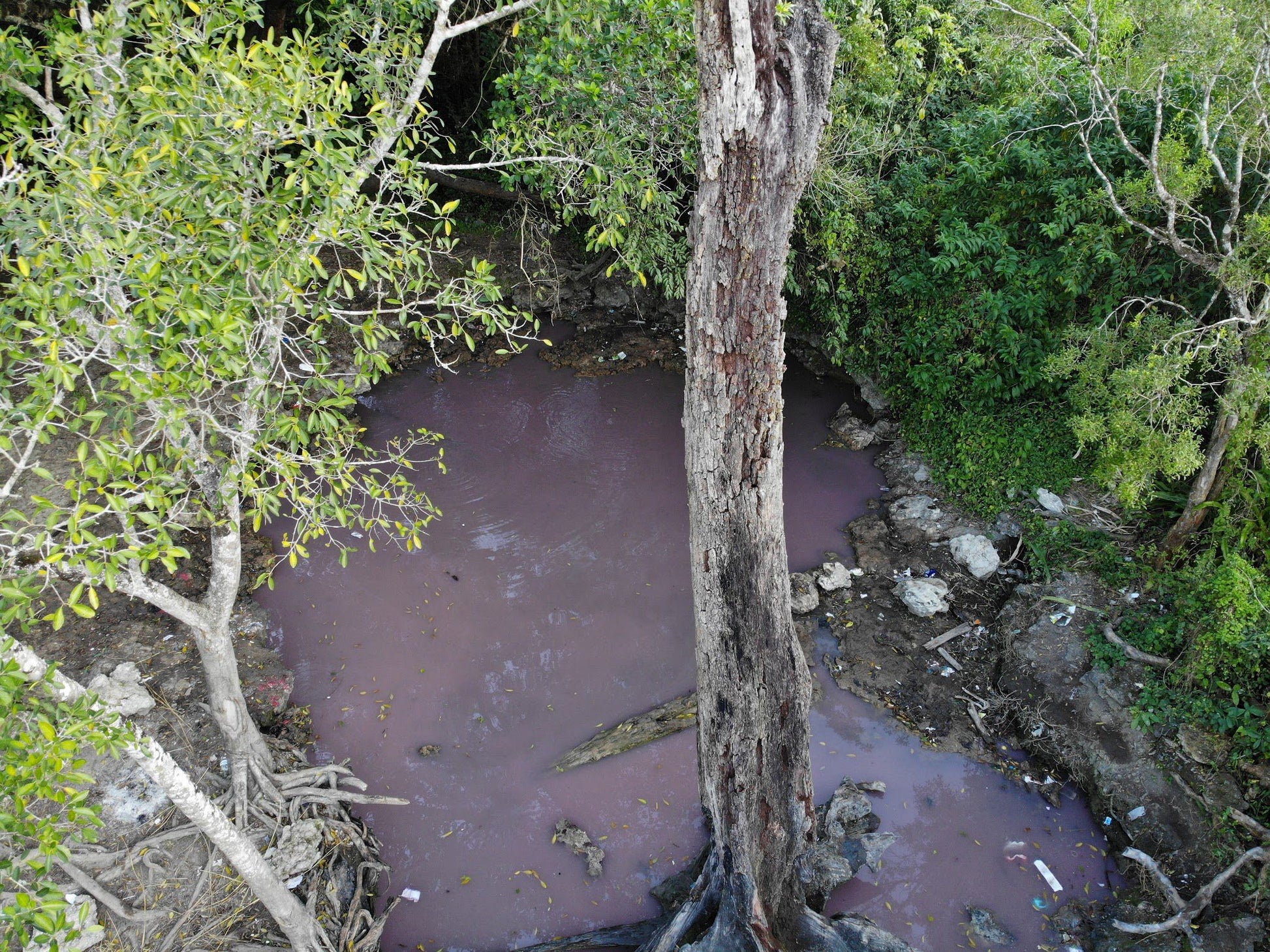  Isinuka Healing Springs