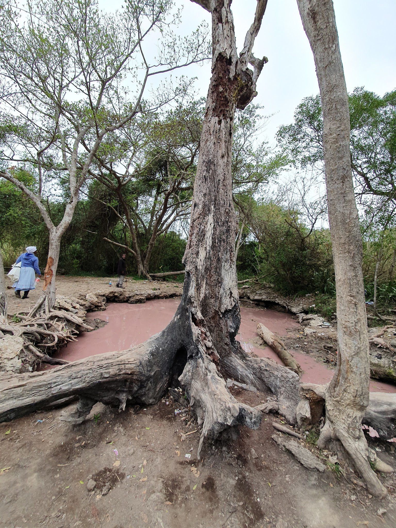  Isinuka Healing Springs