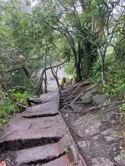  Isinuka Healing Springs