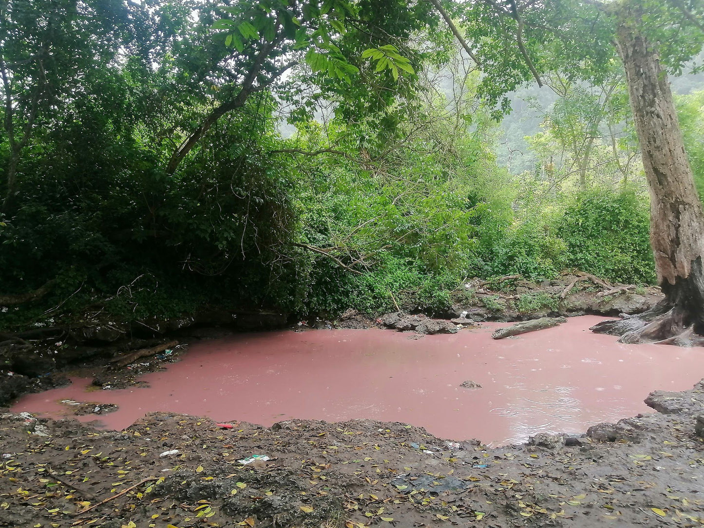  Isinuka Healing Springs