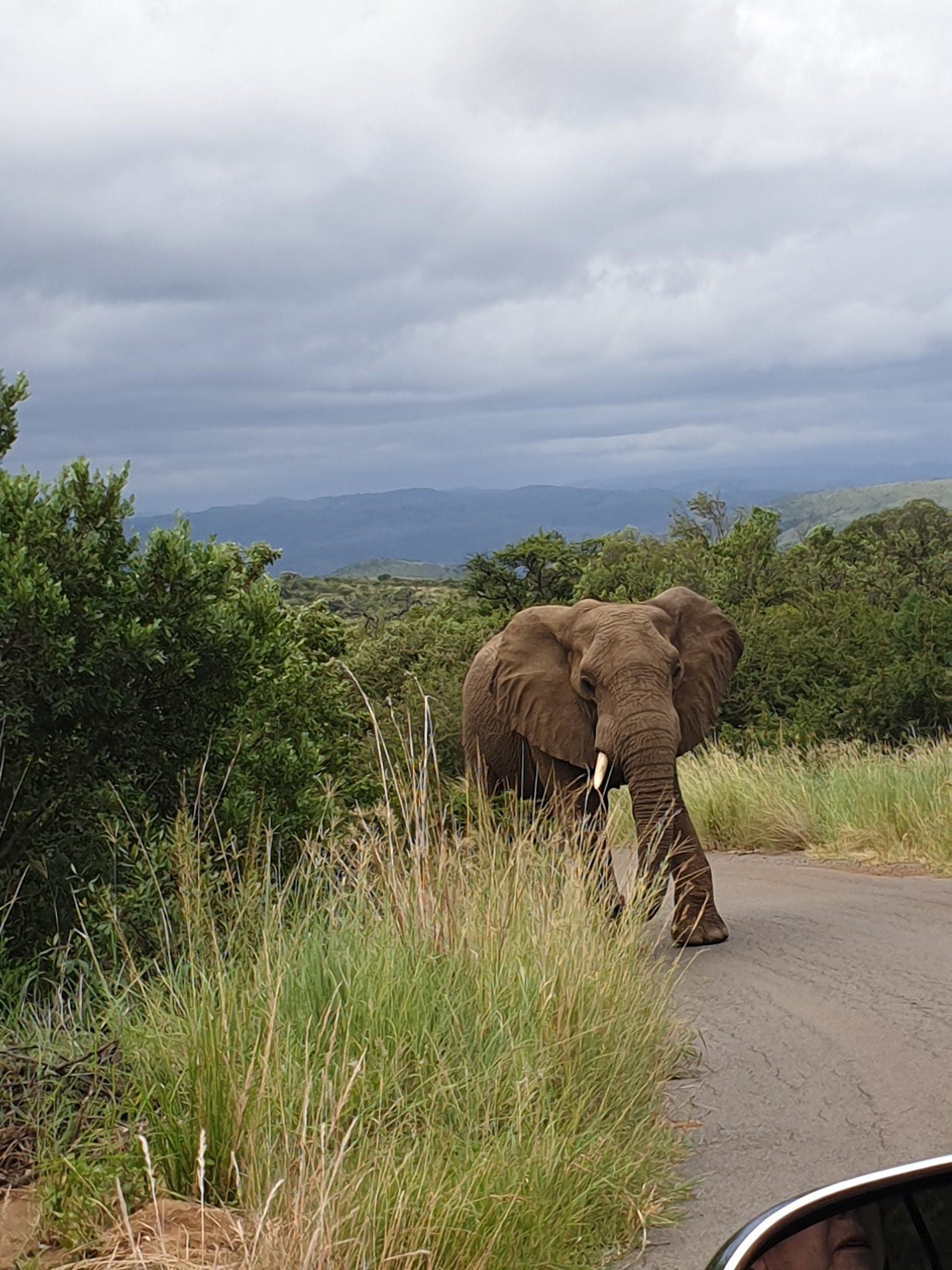  Ithala Game Reserve