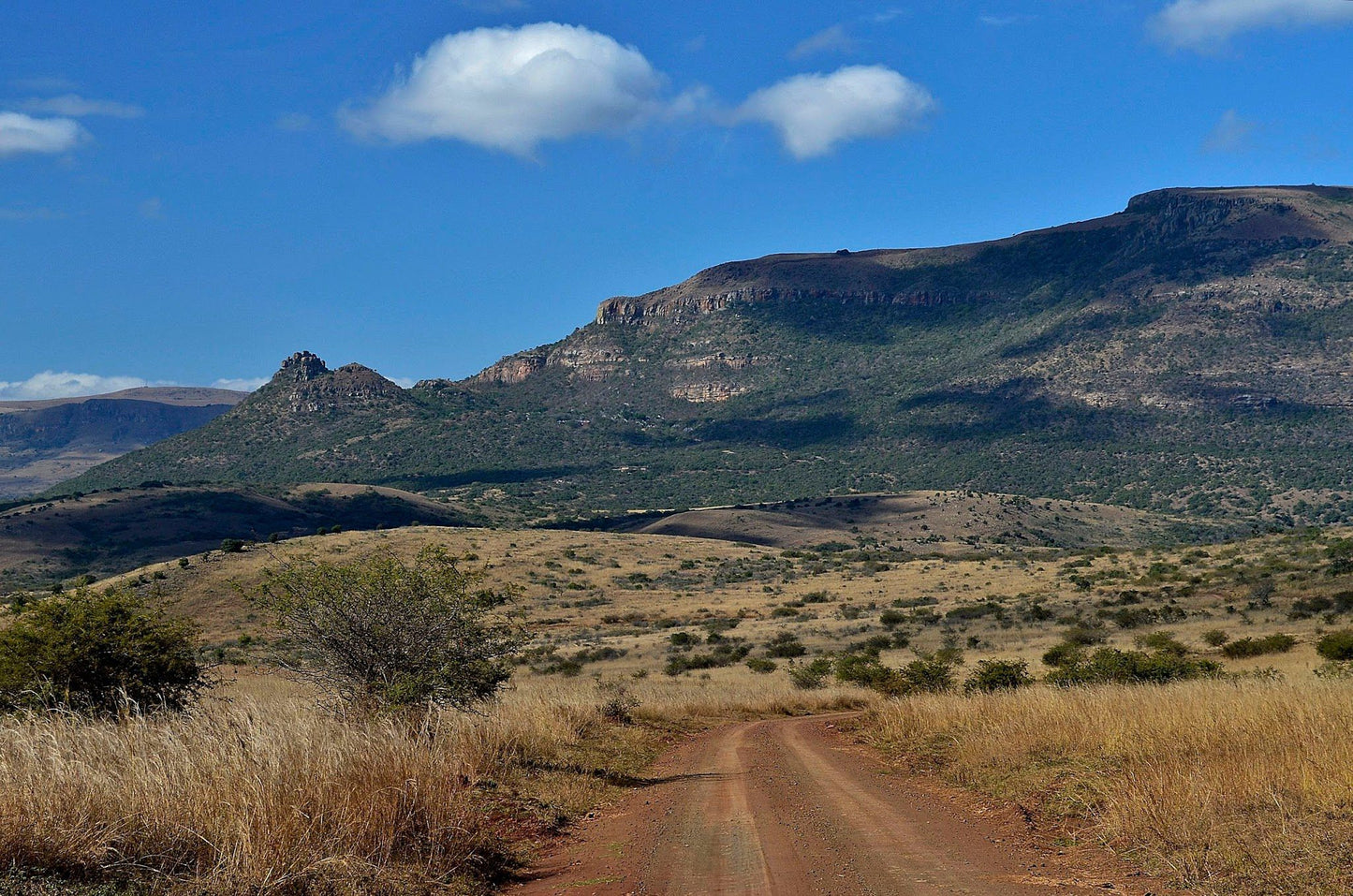  Ithala Game Reserve