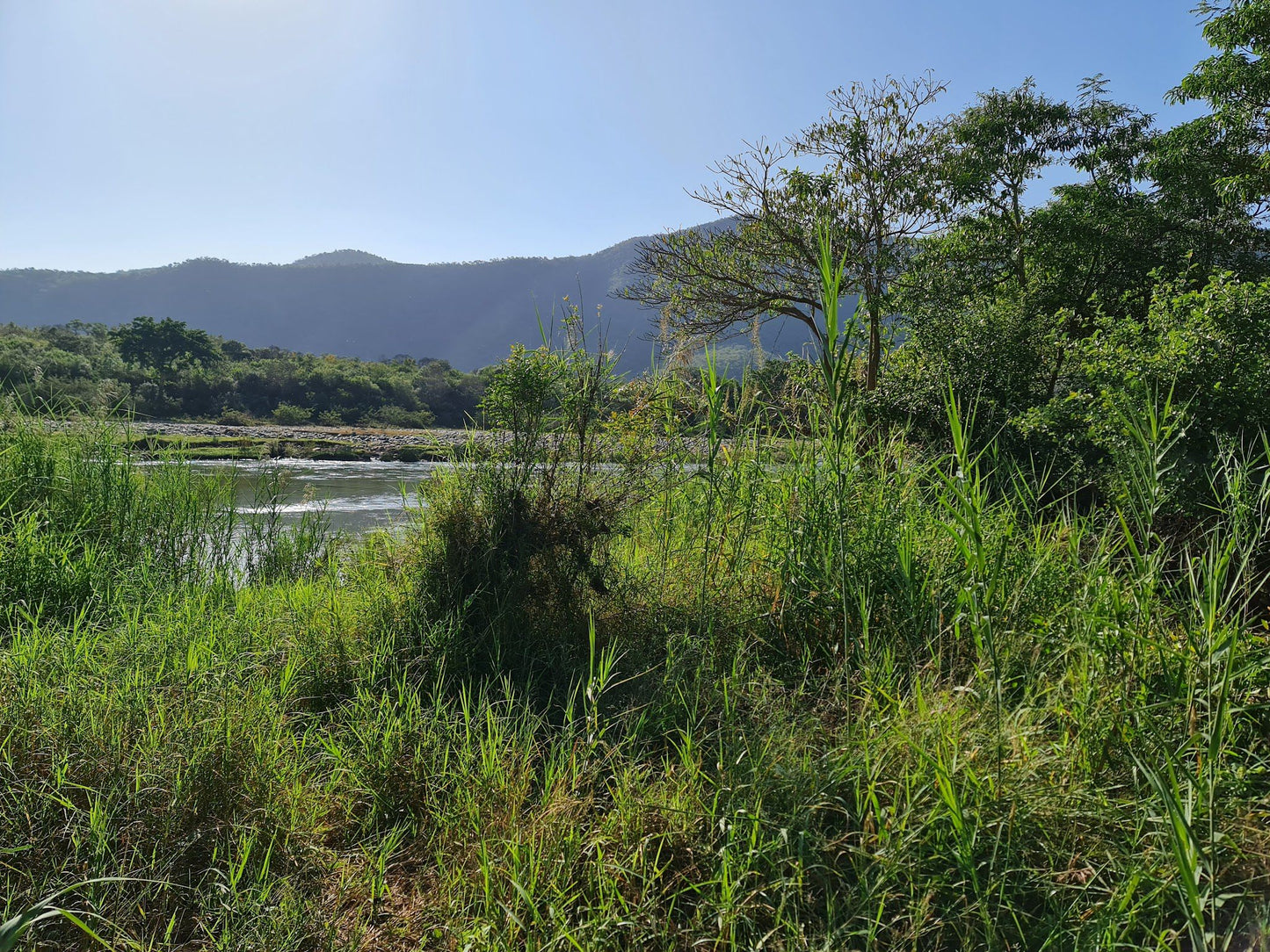  Ithala Game Reserve