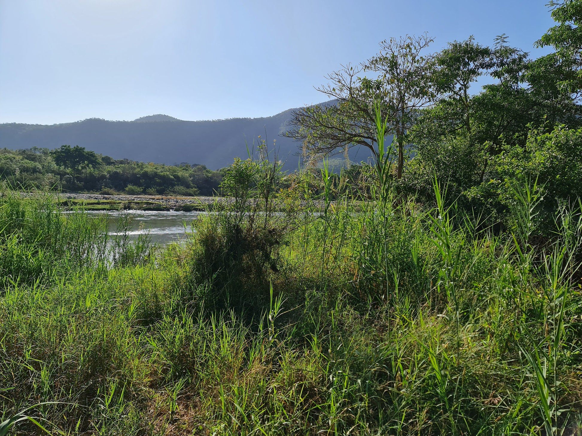  Ithala Game Reserve