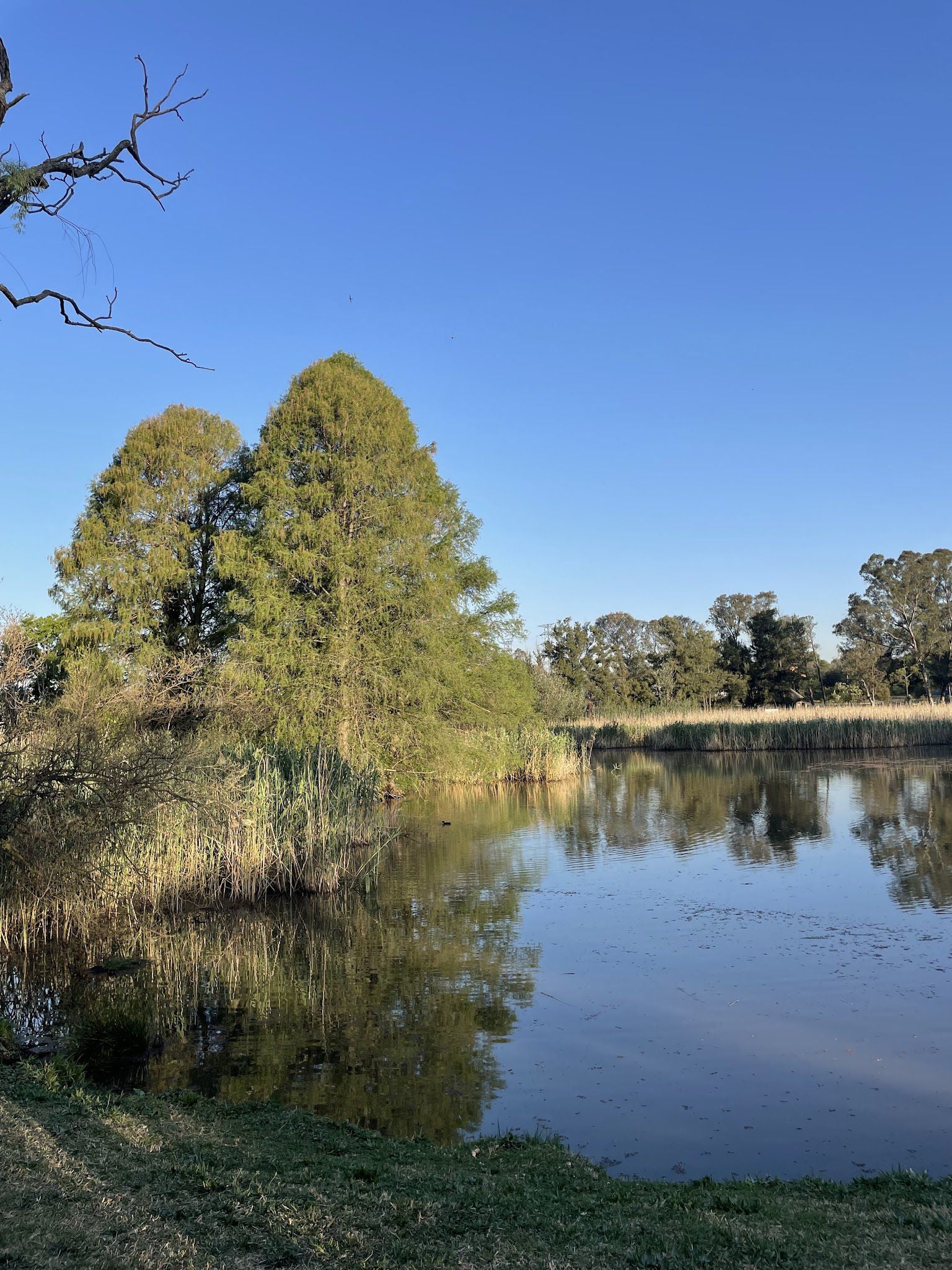  James & Ethel Gray Park