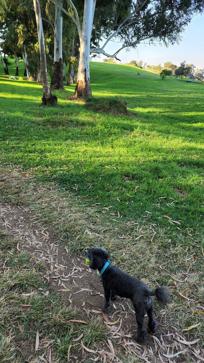  James & Ethel Gray Park