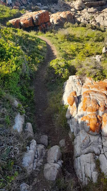 Jongensfontein Nature Reserve