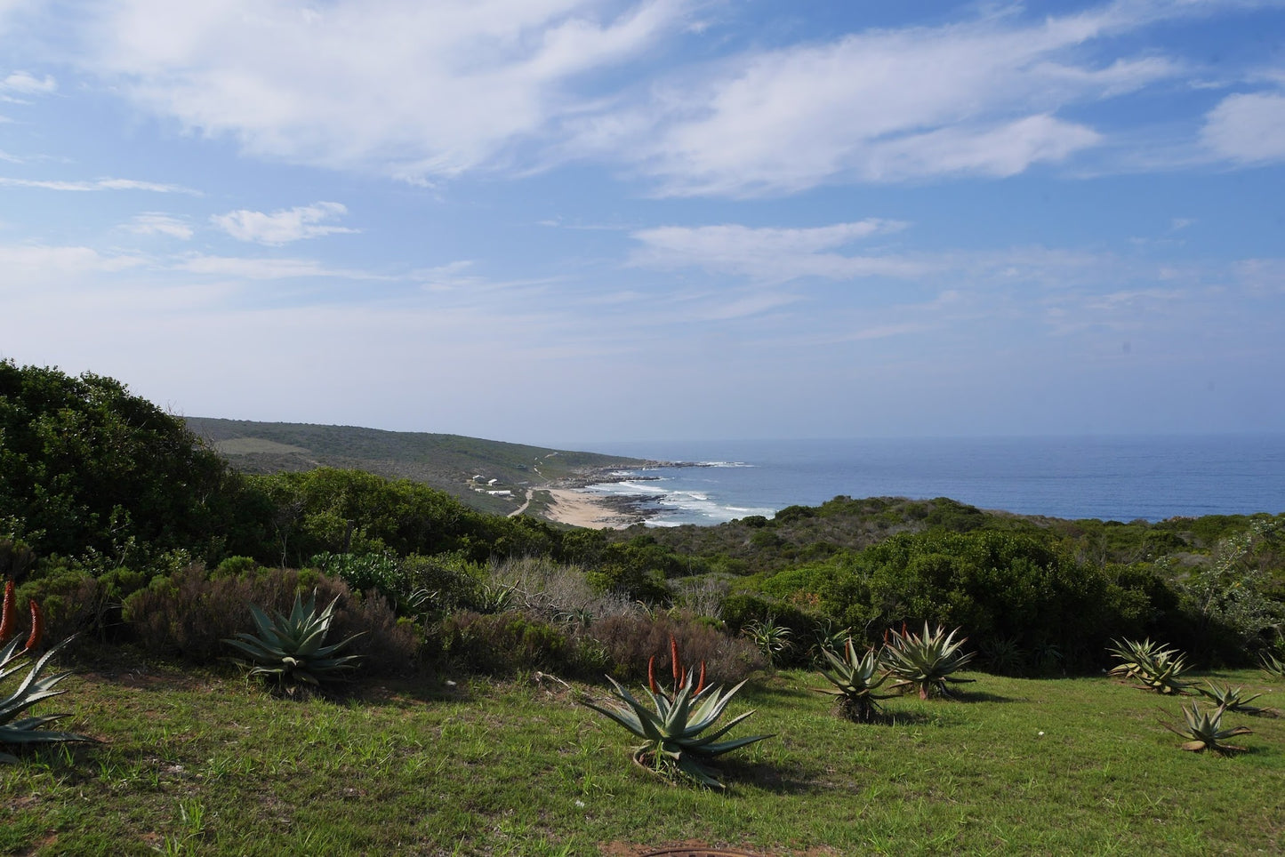 Jongensfontein Nature Reserve